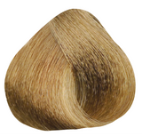 Golden Blond 7.3
