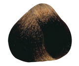Dark Golden Blond 6.3