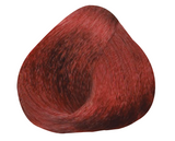 Dark Red Blond 6.6
