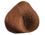 Light Chocolate Blond 8.35