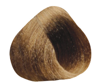 Light Golden Blond 8.3