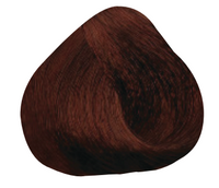 Dark Gold Copper Blond 6.34