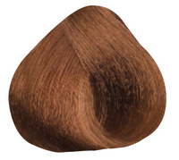 Light Chocolate Blond 8.35