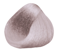 Silver Ash Blond 10.1