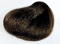 Intense Light Brown 5.00