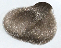 Light Ash Blond 8.01