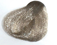 Very Light Ash Blond 9.01