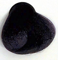 Intense Violet Light Brown 5.22